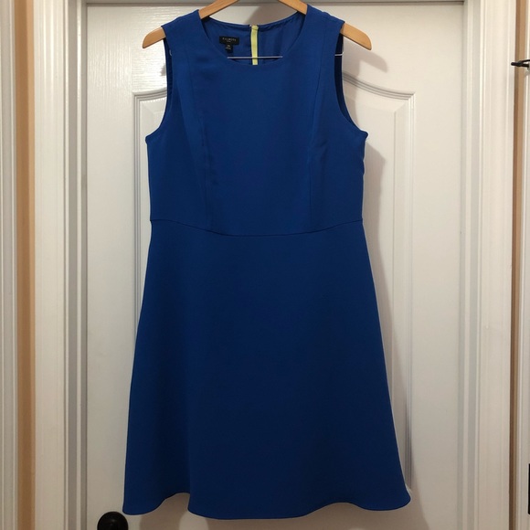 Talbots Dresses & Skirts - Talbots Fit and Flare Sleeveless Dress Sz 14P NWOT